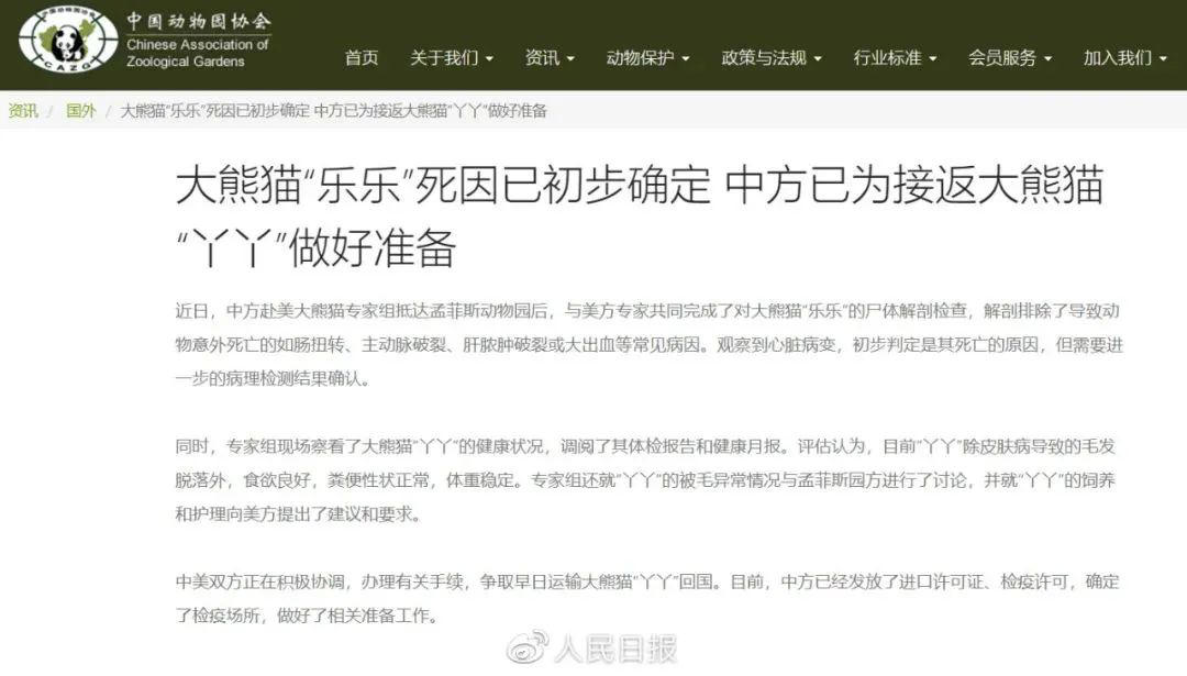 大熊猫“乐乐”死因初步确定,中方已为接返“丫丫”做好准备 大熊猫“乐乐”死因初步确定,中方已为接返“丫丫”做好准备