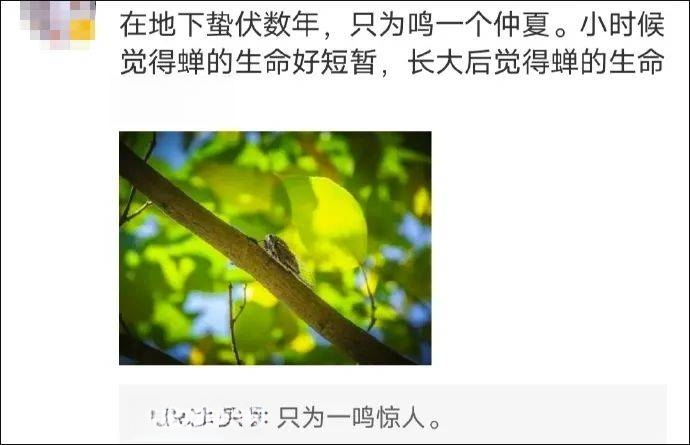 张颂文一条评论回复,冲上热搜 张颂文一条评论回复,冲上热搜